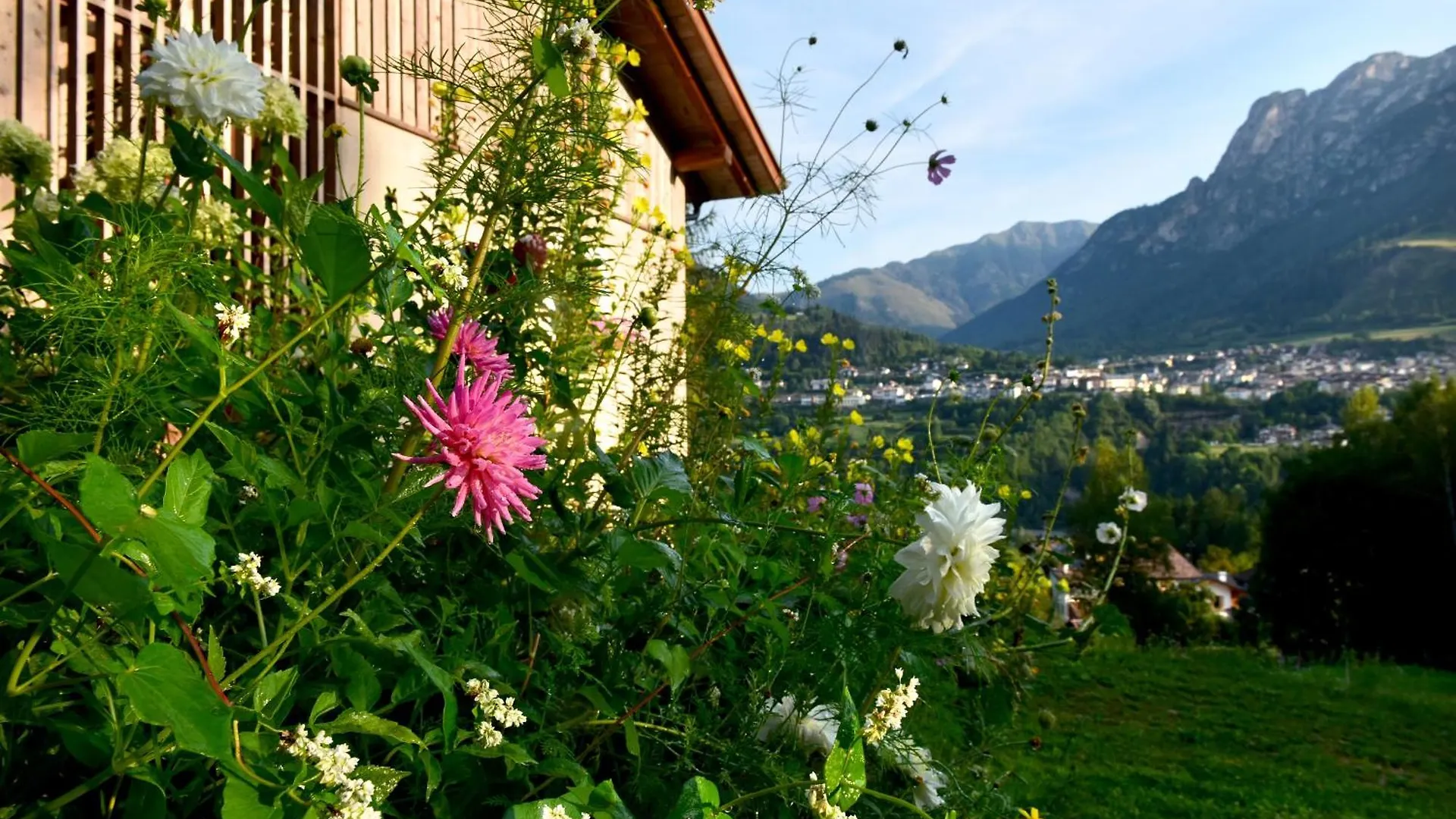 Appartamento B&B Mas De Lagorae Tesero